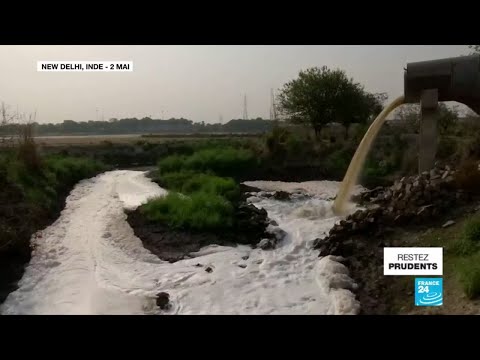 Vidéo: Pourquoi la rivière Yamuna est-elle polluée ?