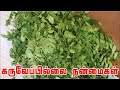 கறிவேம்பு (எ) கறிவேப்பிலை | தினம் ஒரு மூலிகை | One herb a day |  curry leaves