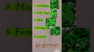 5 Common Herbs In English