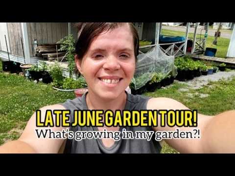 Zone 6b garden full tour | late June growth is insane