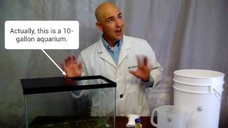 Algae Research and Supply:  5-gallon Algae Culture Kit
