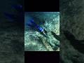 A Dream 💙 #fantasy #mermaid #avatar #florida #shorts #naturalspring #fyp