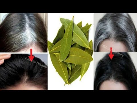 Cabello blanco a cabello oscuro de forma natural en solo 5 minutos 100% probado y efectivo