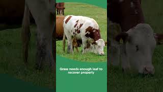 Not sure if a paddock is ready to graze?