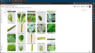 Batch - 78 Major Project Demo v.2.0
