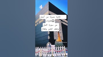 تلاوة مميزة من أجمل تلاوات سورة النمل #القرآن_الكريم #سورة_النمل #أجمل_تلاوة #تلاوة_مميزة #اكسبلور