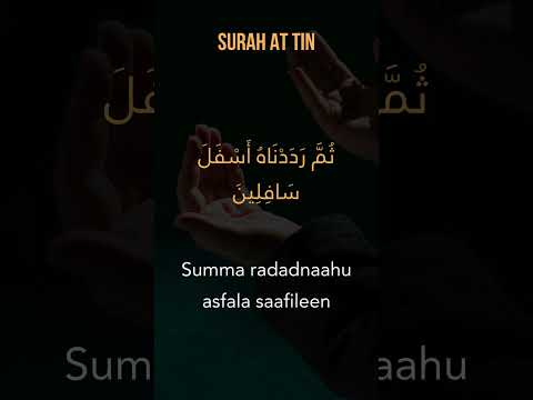 آیا در کرامتی که خداوند به شما عطا کرده فکر کرده اید سوره تین قاری ابوعبیده