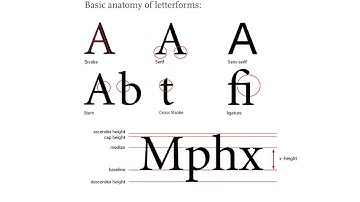 TYPOGRAPHY // The Grand Design Part 1 of 5: Anatomy