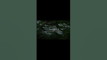 اكتب شيء تؤجر عليه❤️😌 || براء الربعي #سورة_الأنعام