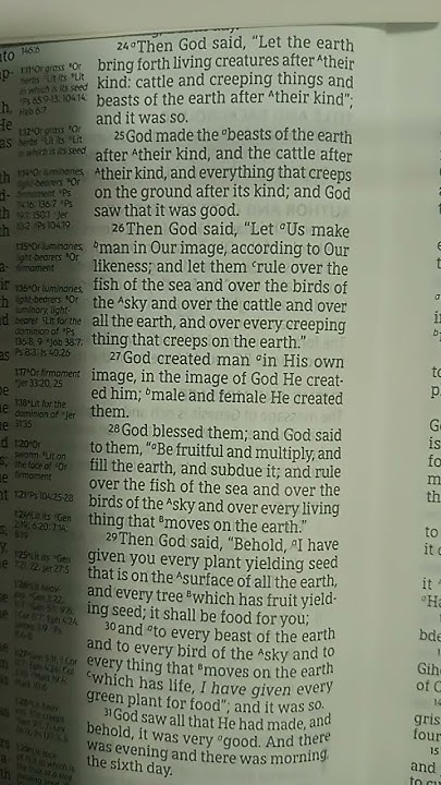 Genesis Chapter 1 Verse 24 To 27 NASB 1995 Part A YouTube genesis-chapter-1-verse-24-to-27-nasb-1995-part-a-youtube