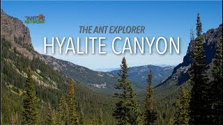 Anting in Hyalite Canyon | The Ant Explorer