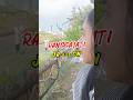 Kereta Api Ranggajati Relasi Jember Cirebon