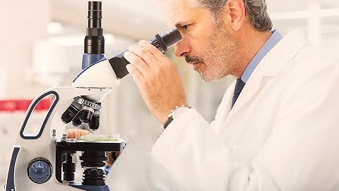 eBay Swift SW380T Trinocular Lab Compound Microscope, 40X-2500X Magnification, 3D Mechanical Stage