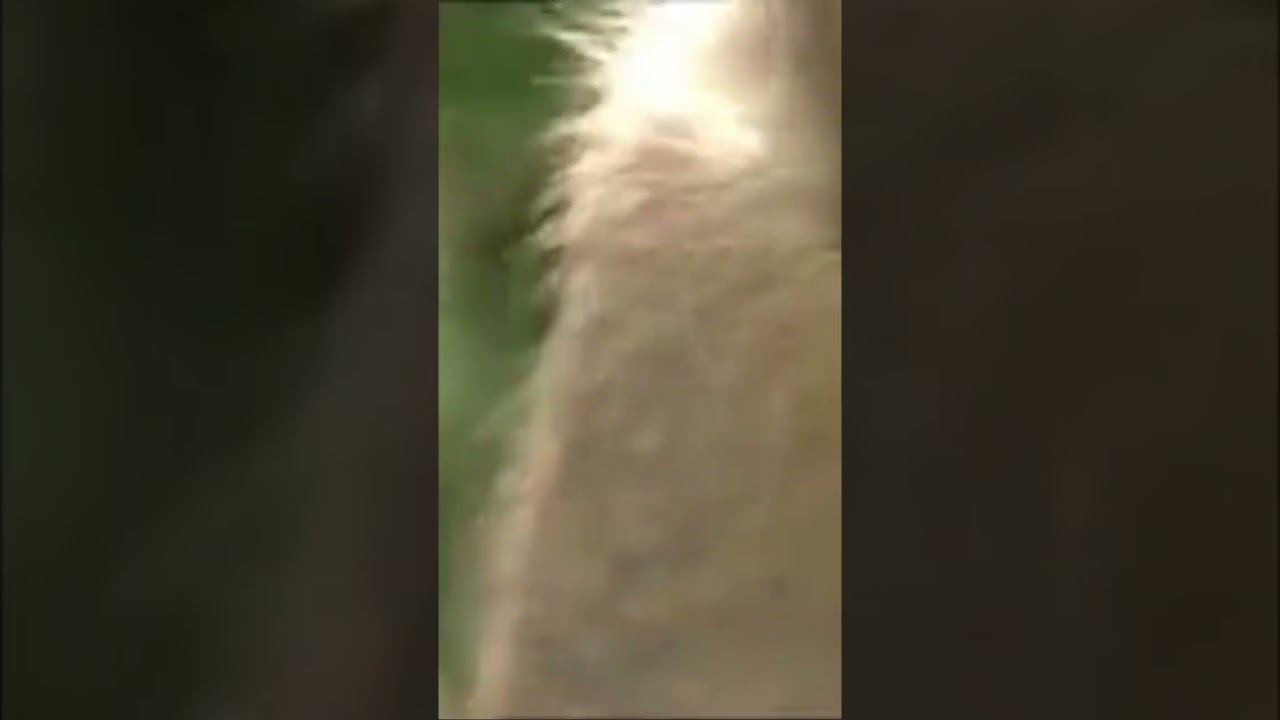 Don’t come for me 🙏🏿🎤 | HowToSpellMark