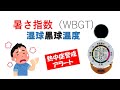 暑さ指数（WBGT)　熱中症警戒アラームのもとになる数値は、どのように求めているか？黒球温度計とは何か？