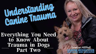 Understanding Canine Trauma: Everything You Need to Know About Trauma in Dogs - Part Two