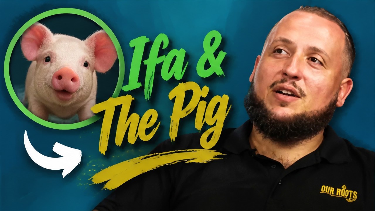 Ifá and the Pig 🐖 | Our Roots Podcast