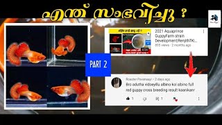 Guppy genetics & Strain development explained Aquaprince|Part2 Malayalam Video|RenjithTK