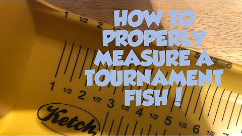 HOW TO PROPERLY MEASURE A TOURNAMENT FISH