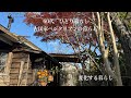 【古民家暮らしのvlog 】時代と共に変化する暮らし/動物と共に生きる/自然との繋がり/猫