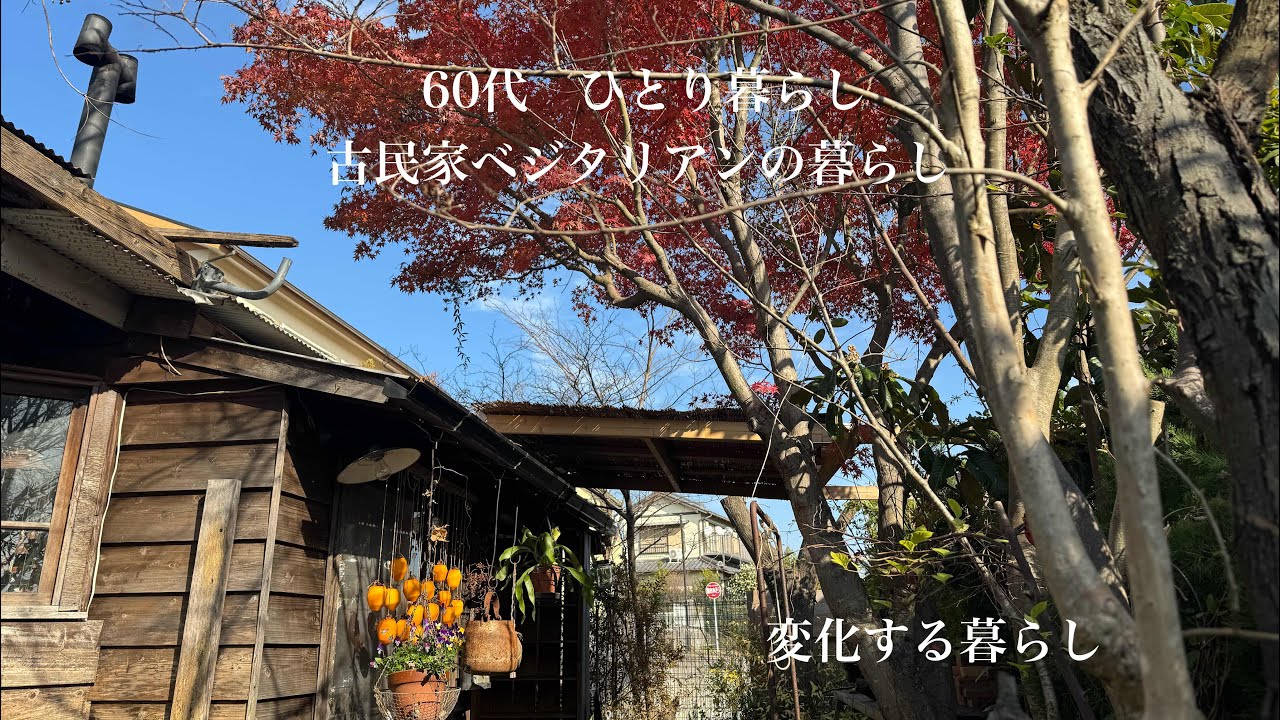 【古民家暮らしのvlog 】時代と共に変化する暮らし/動物と共に生きる/自然との繋がり/猫