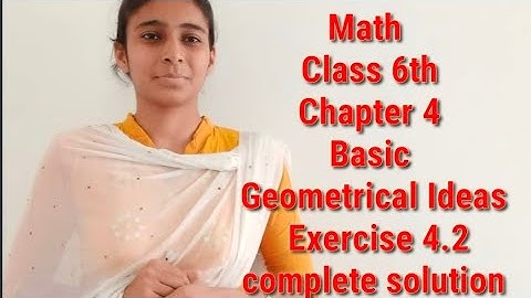 Math Class 6th Chapter 4 Basic Geometrical Ideas  Exercise 4.2 complete solution