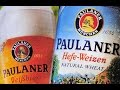 Philly Brew Reviews 120 - Paulaner Hefe-Weizen