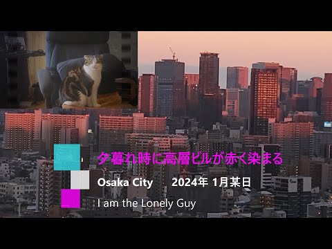 【タワマン生活からアパート暮し　転落物語vol.7】大阪の街が赤く染まる景色を眺めた。I watched the city of Osaka turn red.　梅田・淀屋橋・淀川・天満橋の景色