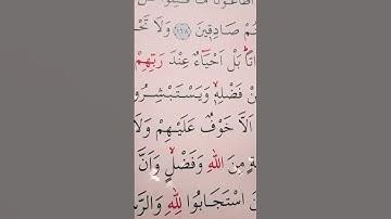 سورة ال عمران الأية 169 إلى 171 القارئ سعد الغامدي