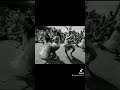 The evolution of Cook Island Dancing