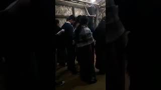 Songma Gitim Git Ringenga