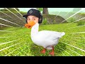Being a goose is AWESOME! | Untitled Goose Game