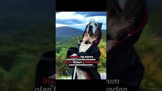 Kapida Ki̇m Var