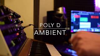 Poly D Ambient