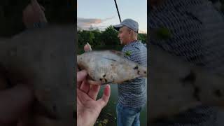 Рыбалка на Вишенском Озере 🏊⛵ Плита Орешка 👍😎 Смешные Истории Жизни 🤩🌞 Топ 🐸 Шик Класс 👍 Шоу Смеха 🍉