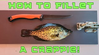 Celebrity How To Fillet A Crappie For Beginners - QUICK & EASY Profile