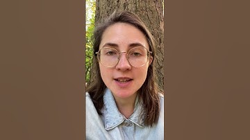 Energy-Efficient Optical AI Chip | High Accuracy & Low Power | UF Innovation