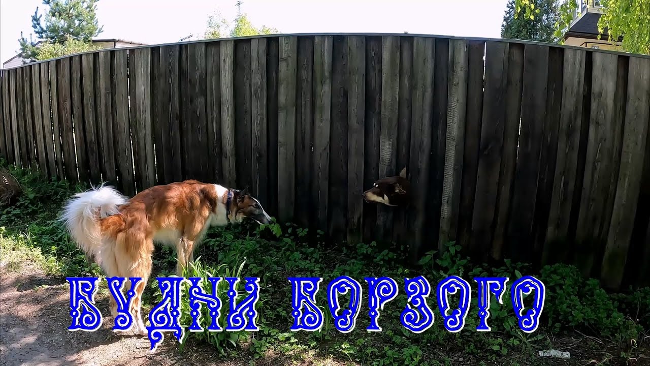 Пасха и облом в Красной пахре - YouTube