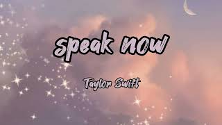 Taylor Swift - Speak Now (lyrics)