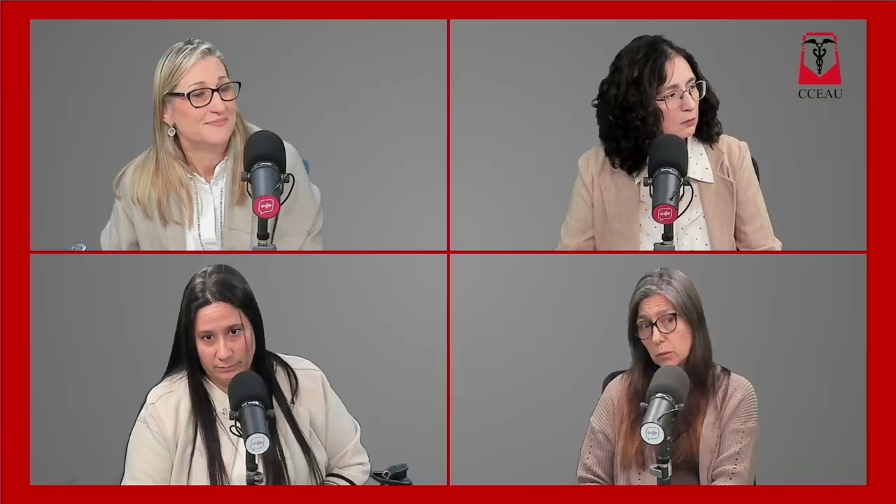 Hilando las finanzas - E01 - Solicitud de crédito bancario y rol del profesional de CC. EE.