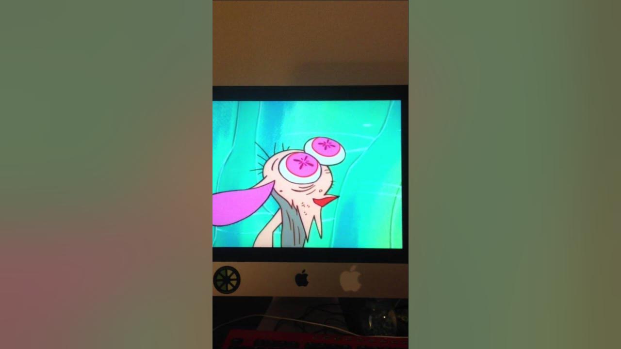 Ren and Stimpy Hermit RenBat Encounter YouTube