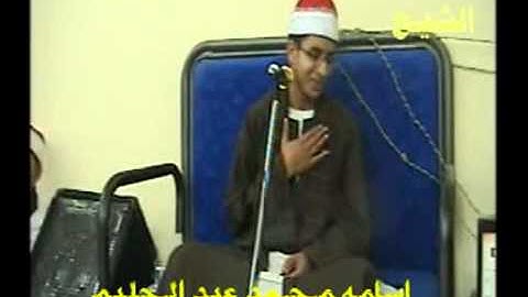 الشيخ اسامه محمد عبد الحليم الزهيرى مقطع سورة الزمر