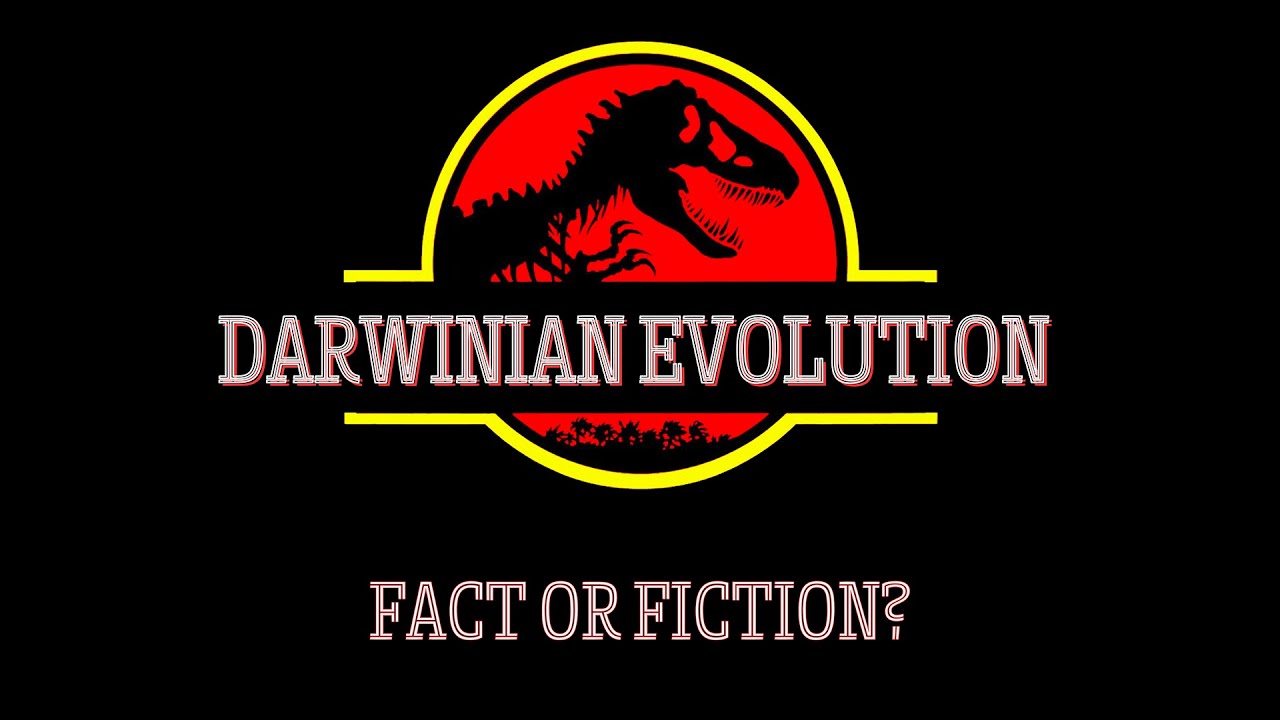 Pt. 2 - Transitional Fossils? Where are they? | Pastor Glenn Holland ...