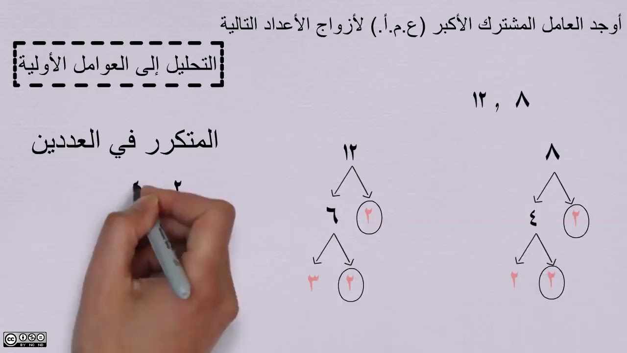 ( 1- 4 ) العامل المشترك الأكبر  - الصف السادس