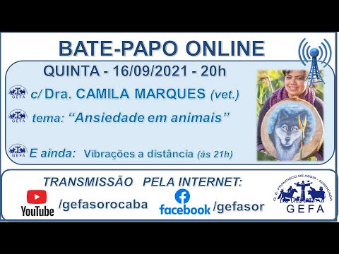 Assista: Bate-papo online - c/ CAMILA MARQUES (16/09/2021)