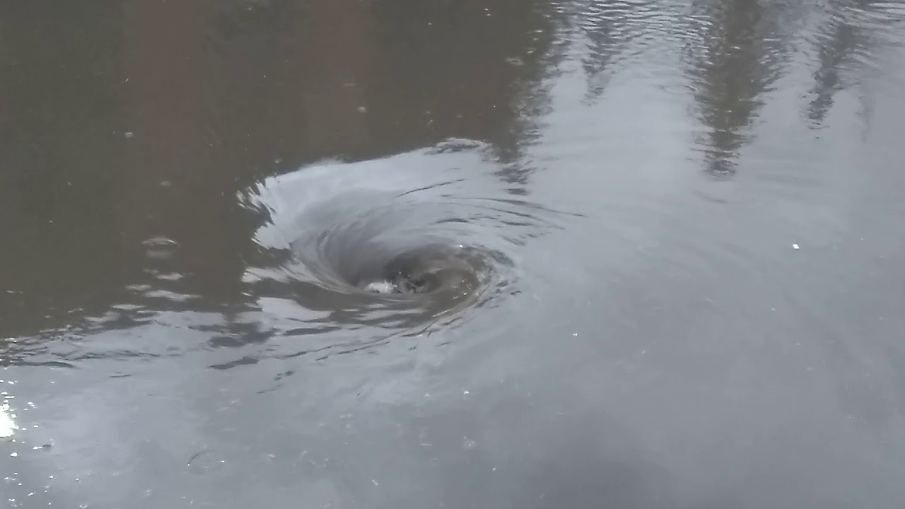 Storm drain taking water after sever storm caused minor flooding