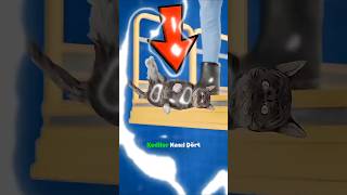 9 Can Efsanesi Yalan Kedilerin Gizli Düşüş Hilesi