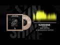 Dan winter  basslovers united  sunshine techno mix