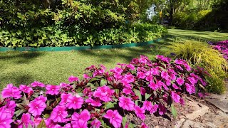 Oberlin Road Neighborhood Walk | Quiet Streets & Everyday Raleigh Ambience