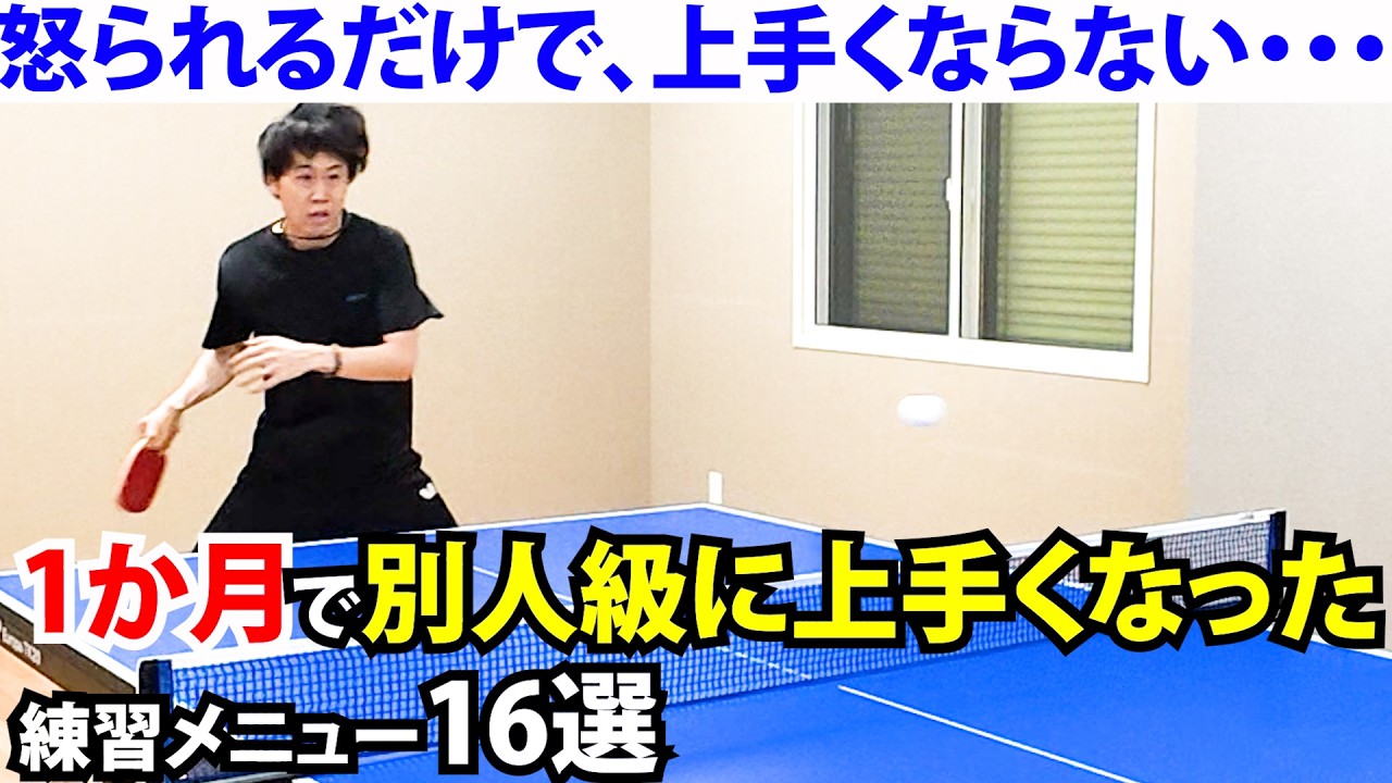 卓球練習に✩.*˚ ティゴラ 卓球 集球ネット 国際規格サイズ対応 集球穴付き 個人